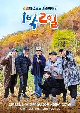 演员请登场 综艺